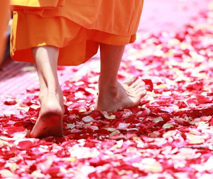 Become a Monk